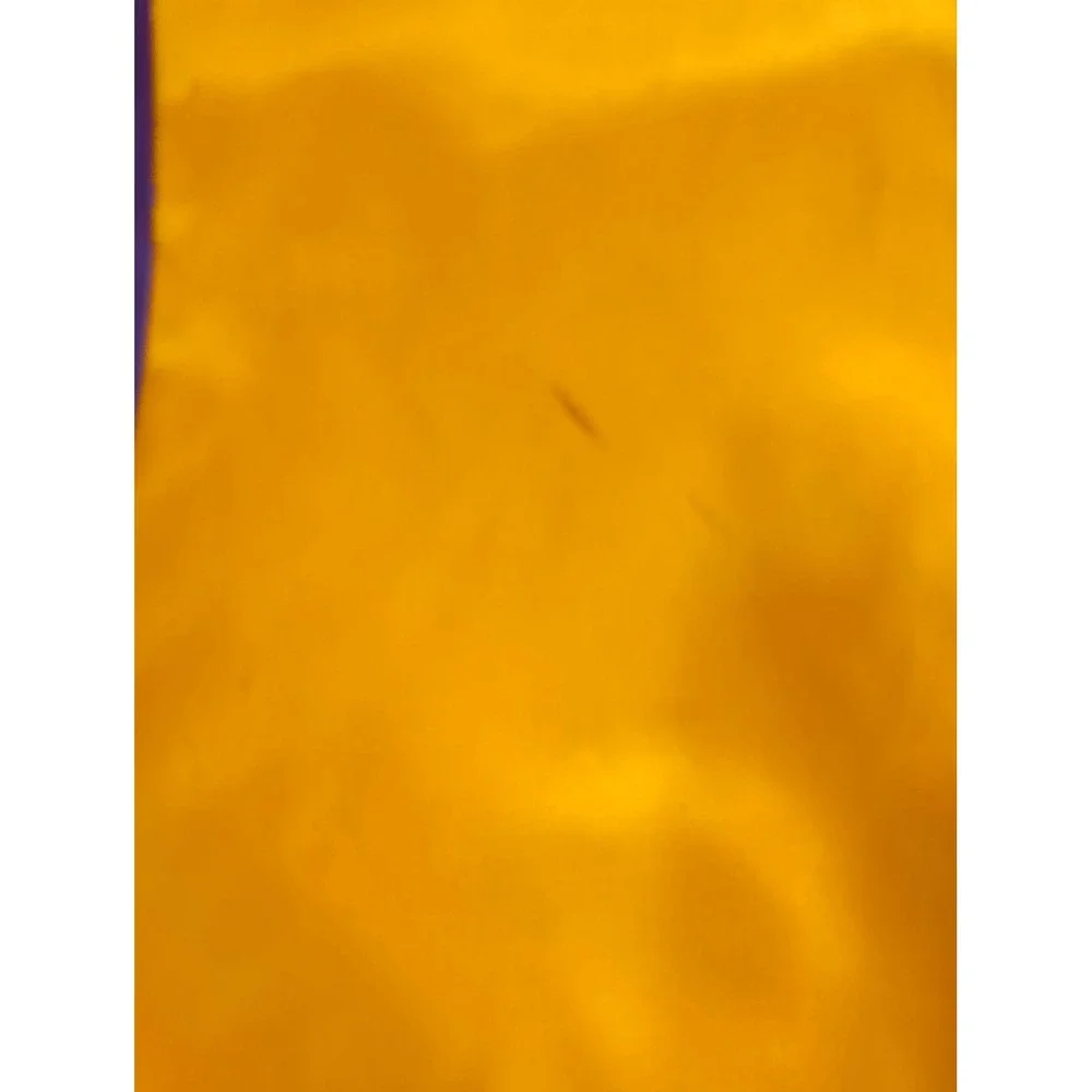Vintage Lions Club International Vest Angleton Noon Yellow Purple Men XXL USA CC